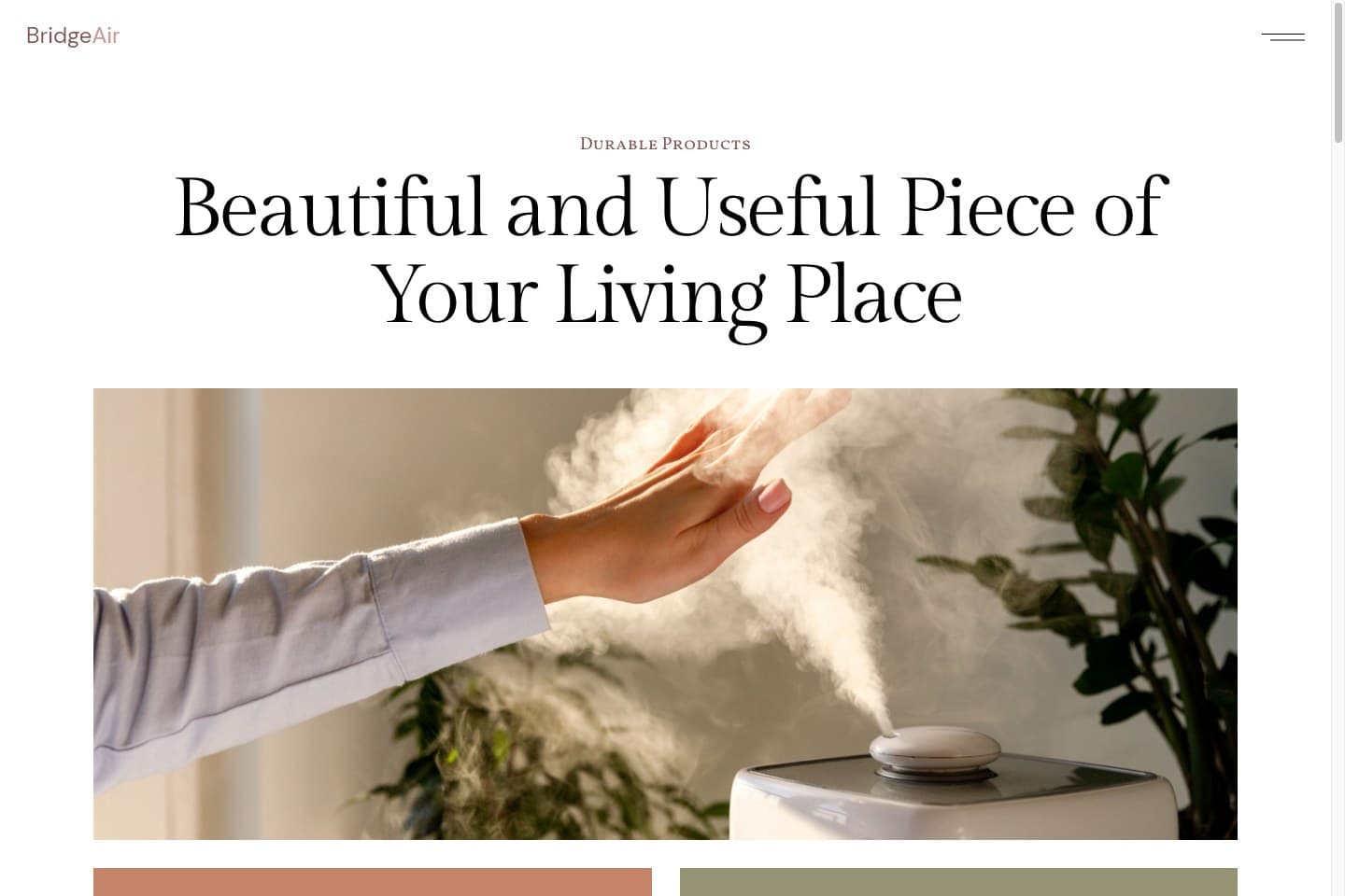 Home products website